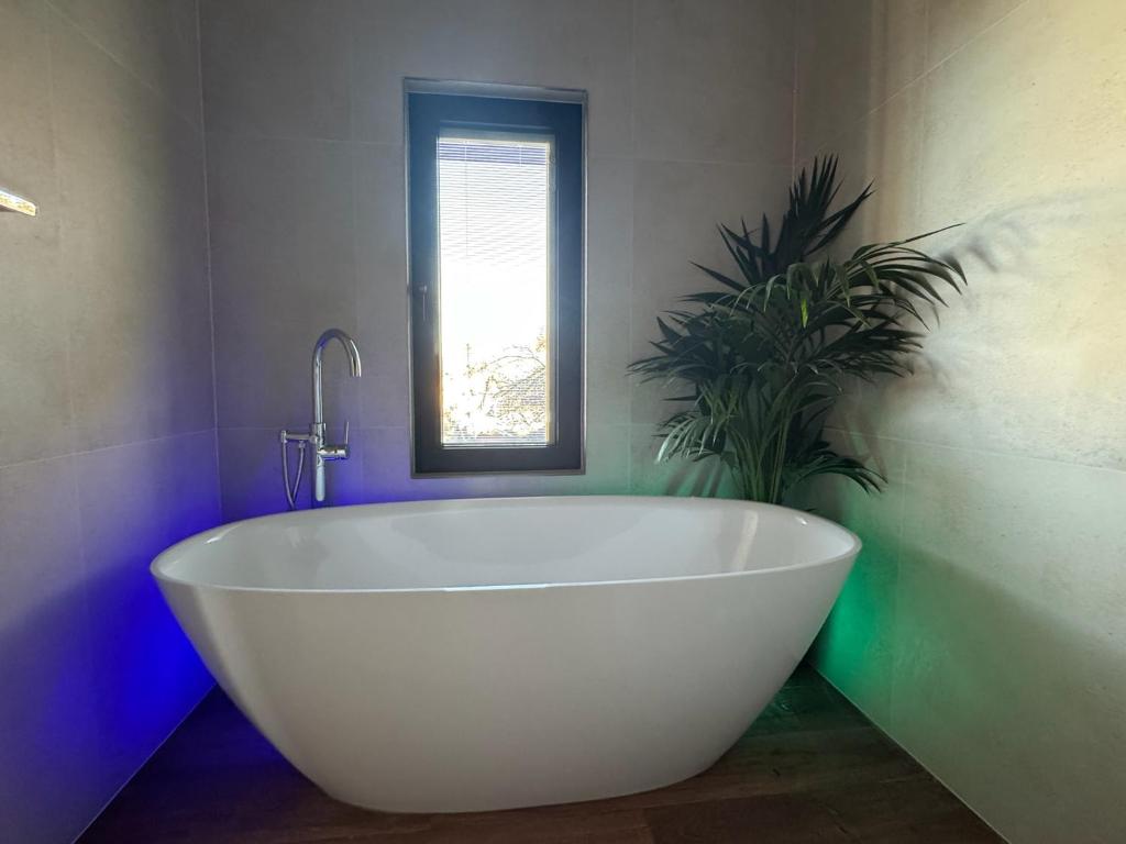 Casa Era Canaria - 3
