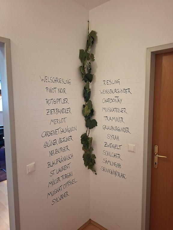 Winery-Appartement - 3