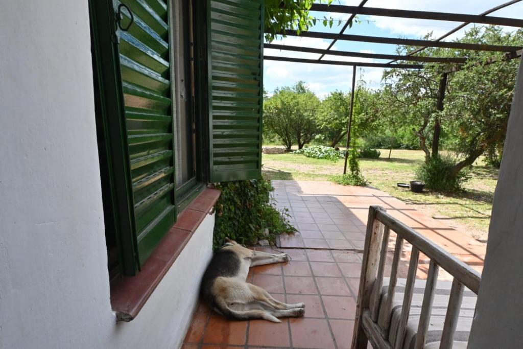 Casa Amaranta - 2