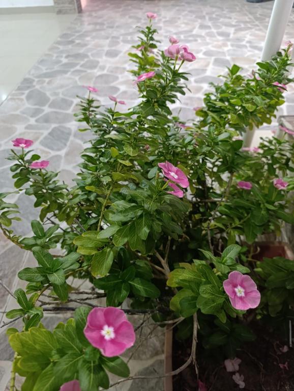 Apartamento Santa Marta Caribe - 5