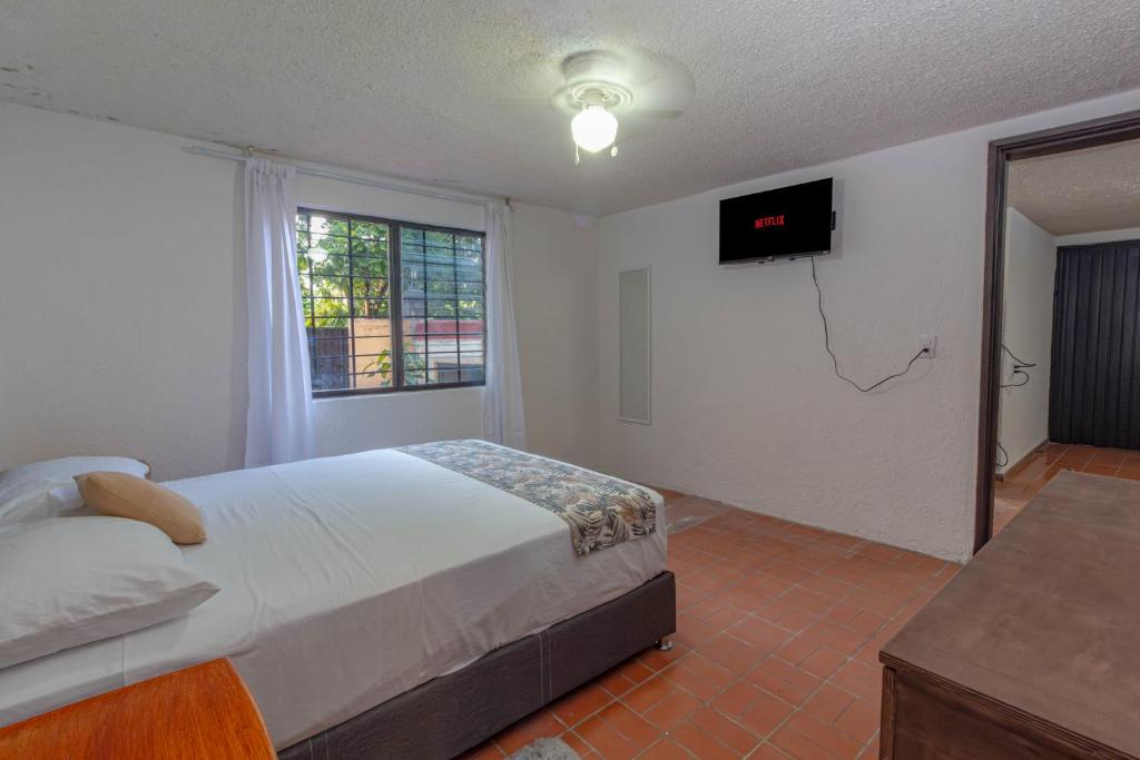 Suite para 4 con Recámara Privada y Cocina, Chapalita 5 - 3