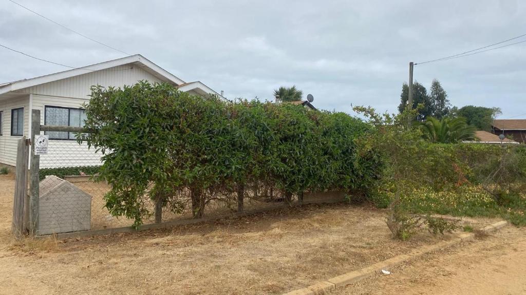 Casa en Algarrobo - 3