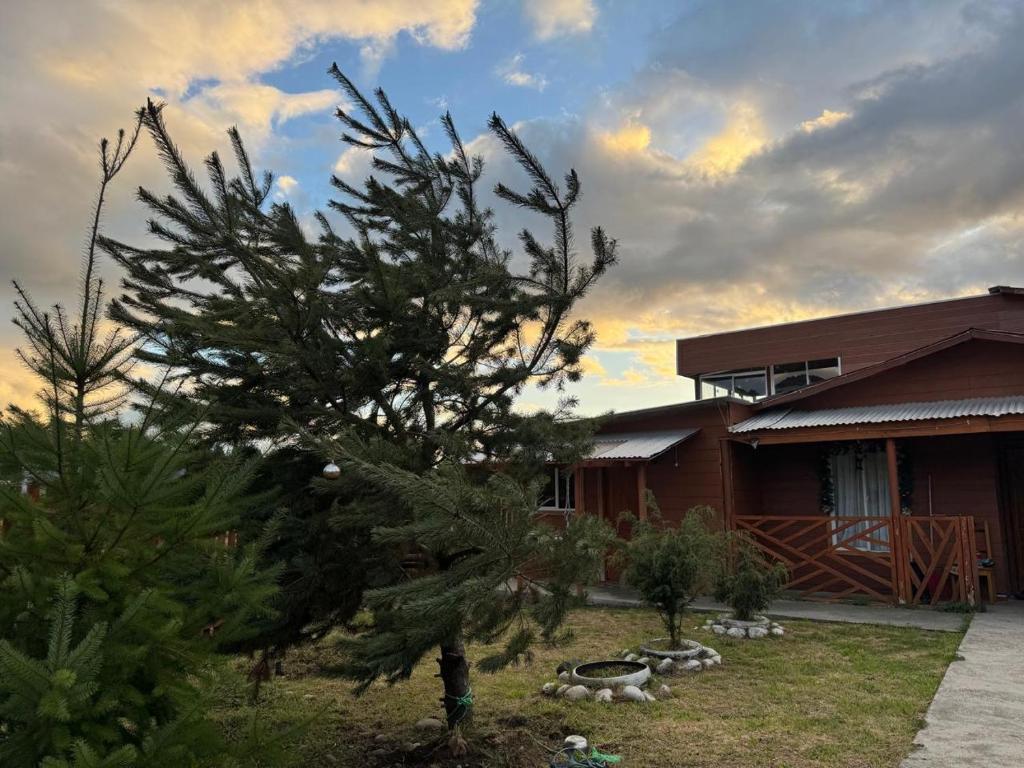 Cabaña Los Canelos - 2