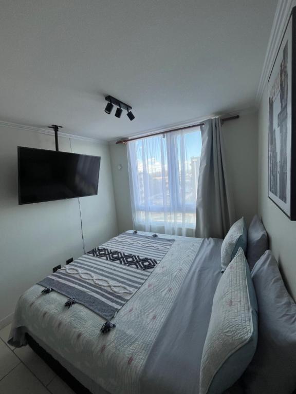 Serenity loft - 2