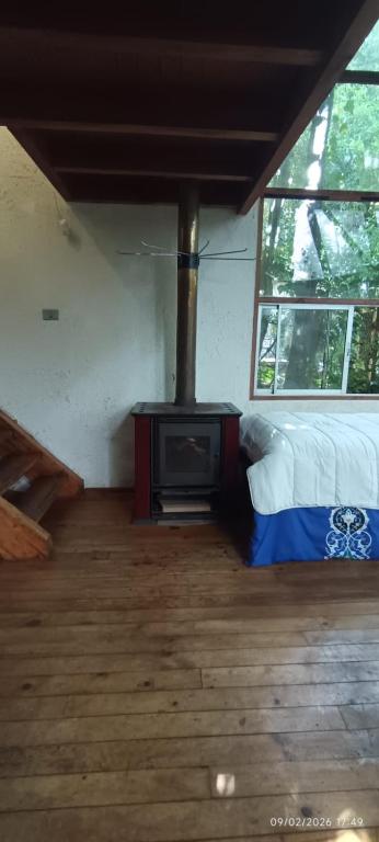 Casa Cedro - 3