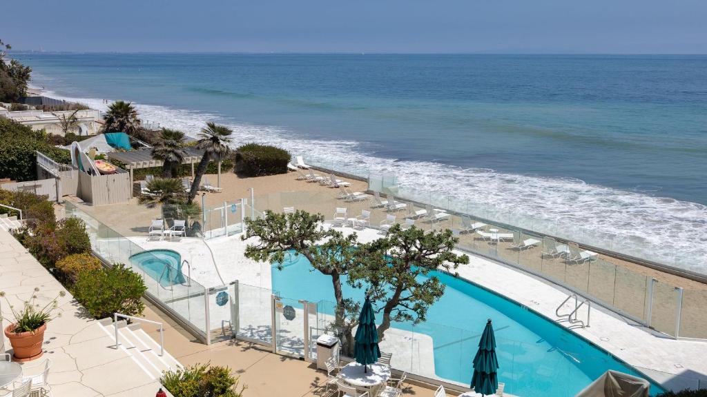 Ảnh 4