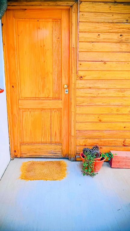 EcoLodge Apartment House - 1