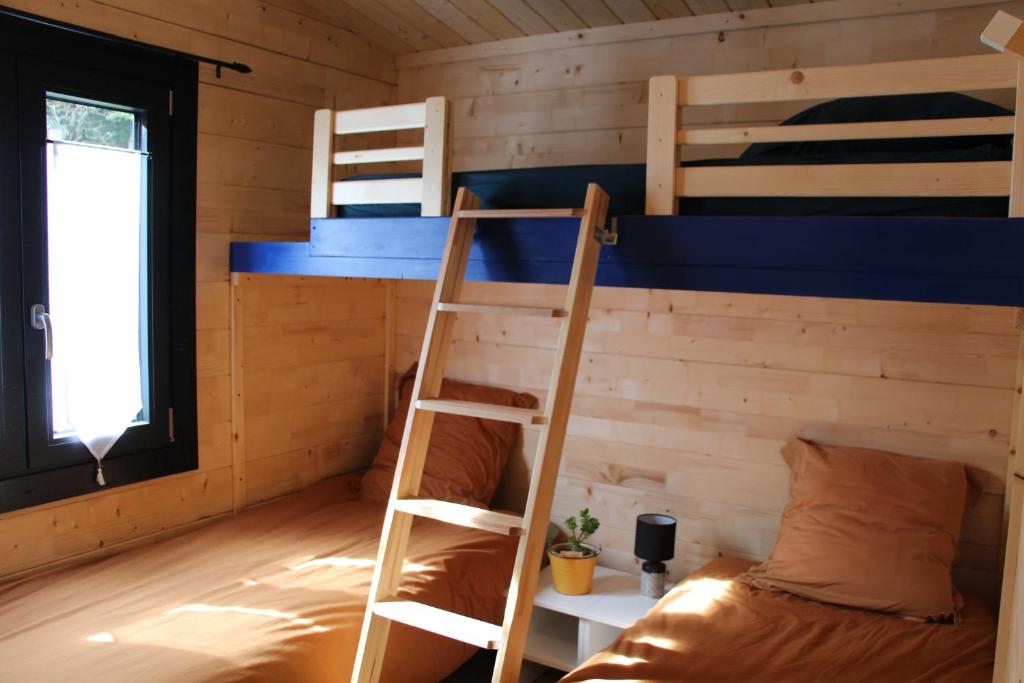 Ảnh 2