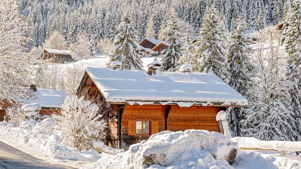 Orso Chalet - La Clusaz - 2