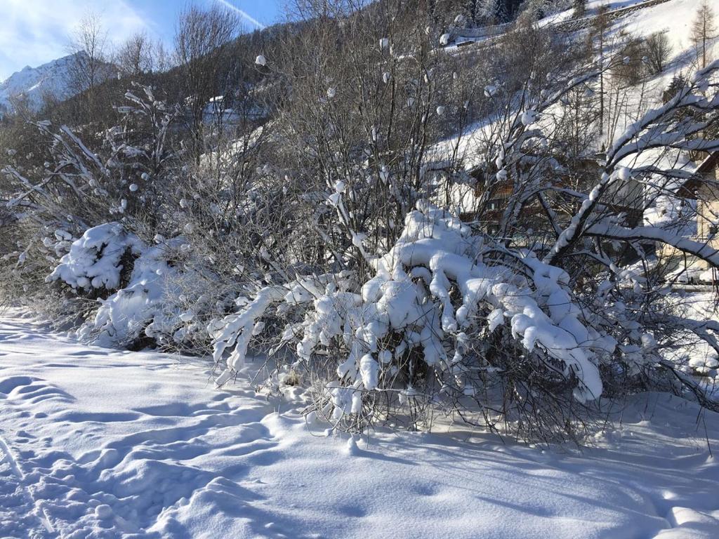 Surrounding environment