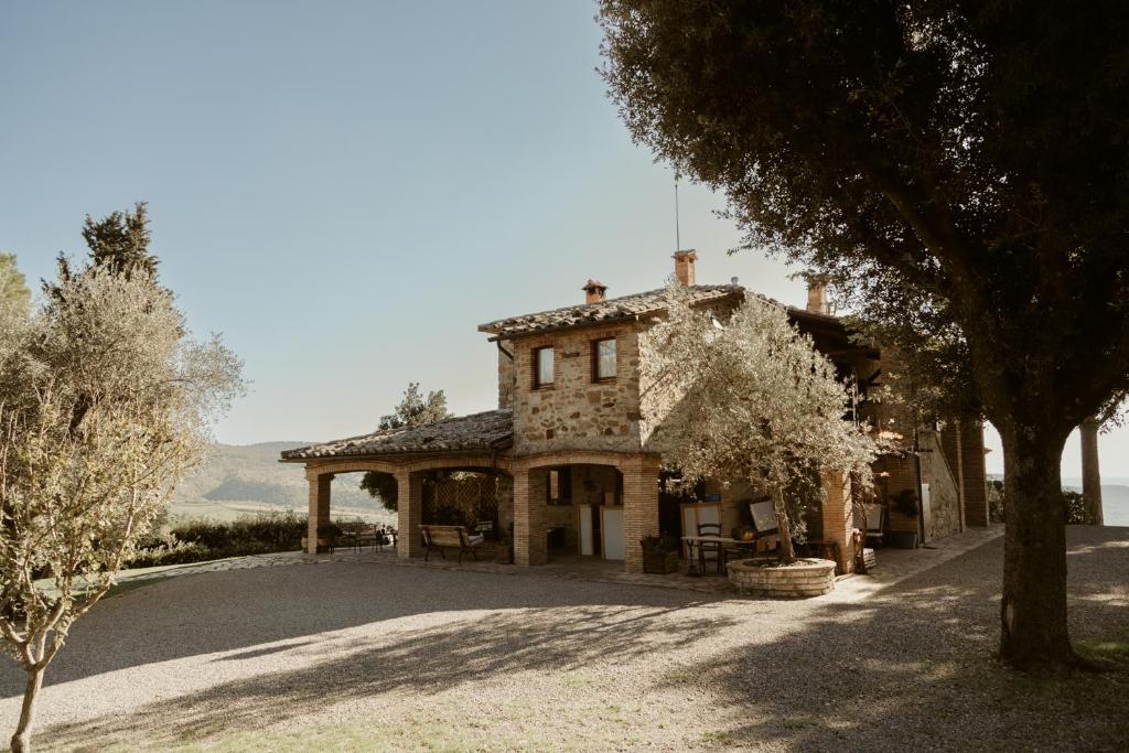 Il Paliarete - 1