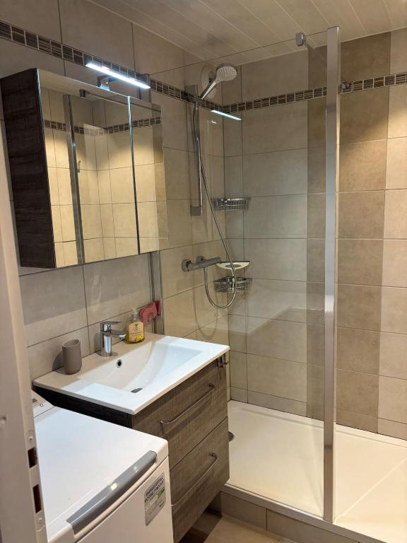 Appartement 30 m2, Résidence le Diamant au centre de la station, à coté des commerces, restaurants et remontées mécaniques -MENAGE COMPRIS - 4