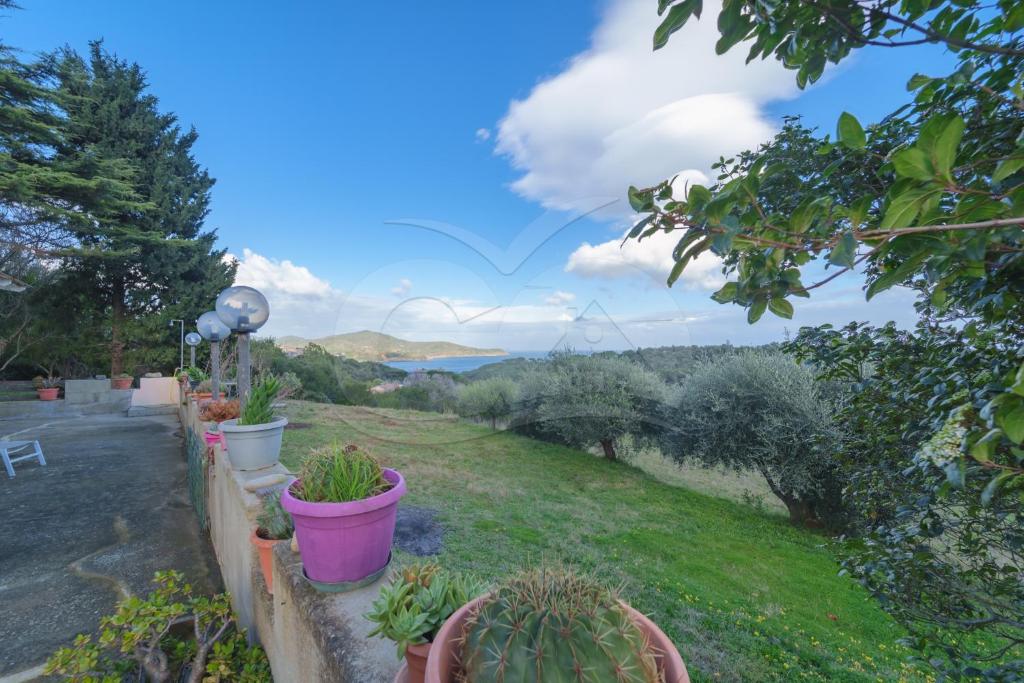 Appartamenti Lentisco - Goelba - 1