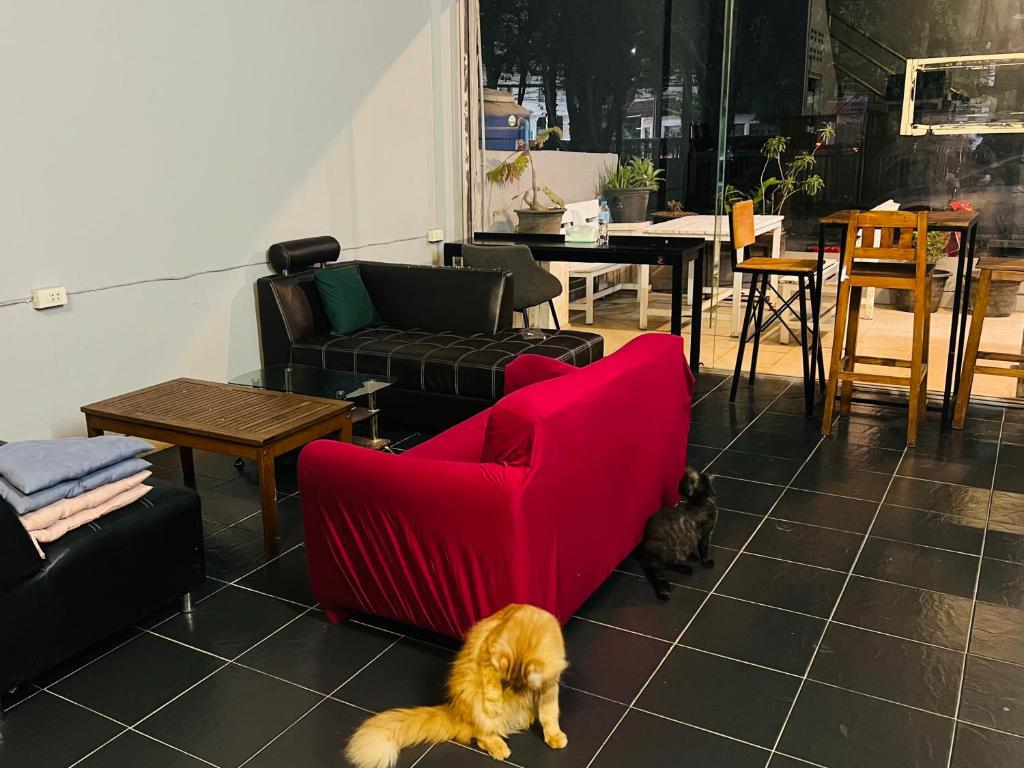 GREEN CURRY Hostel 