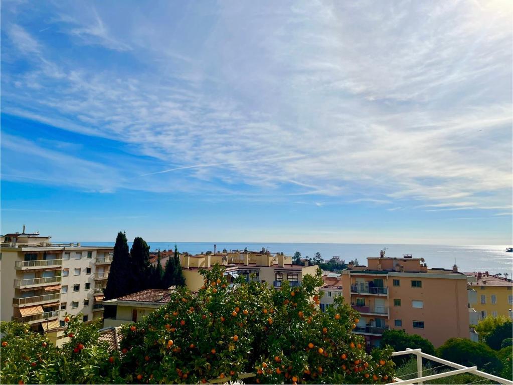 Magnifique appartement 2p dans une villa avec vue mer, terrasse & parking privé - 1