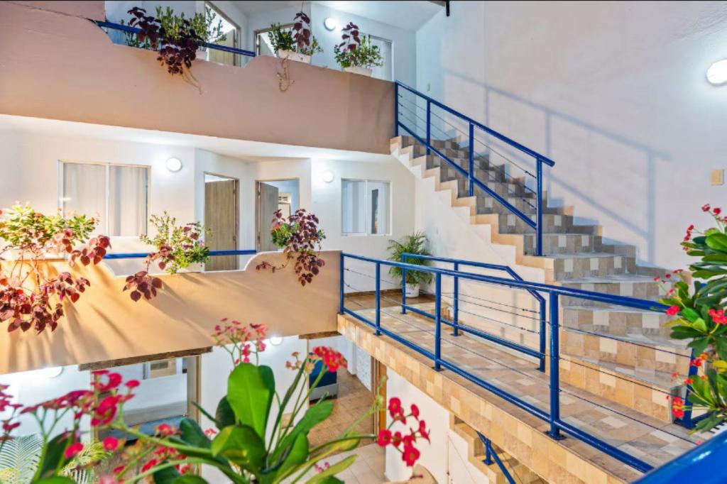 Casa Payis Hotel - 5