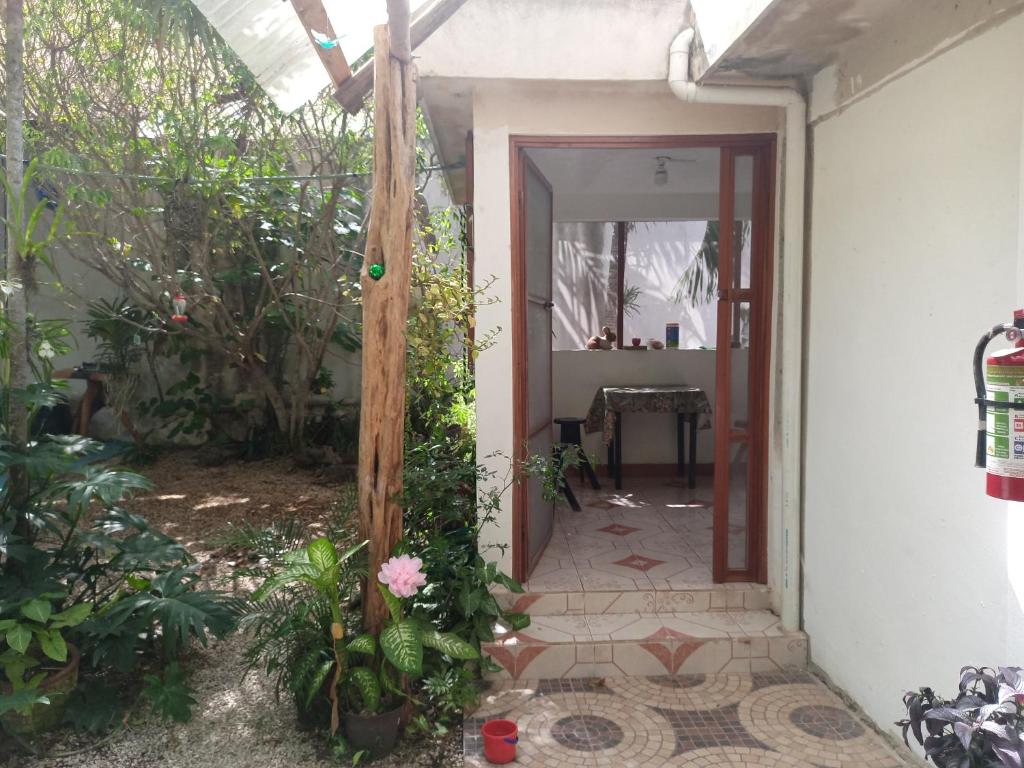 Casa Corozo - 5