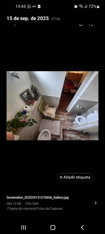 La casa del pino - 3