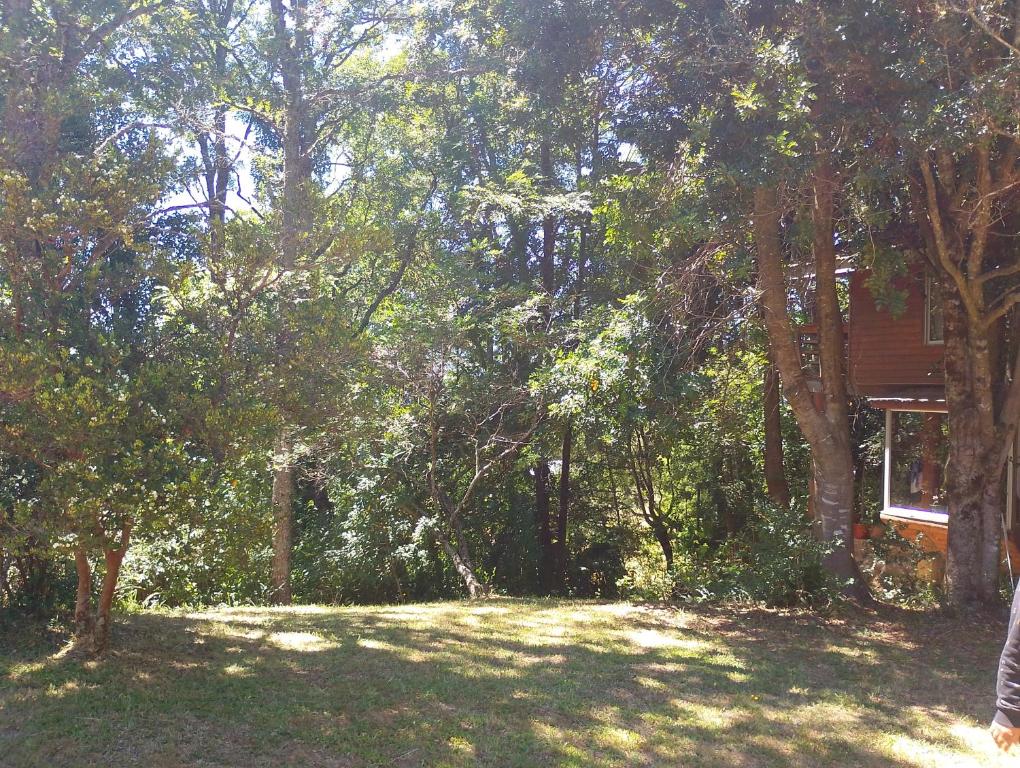 Casa Bosque - 4