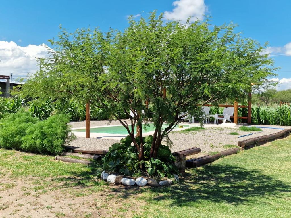 Casitas de troncos Nogoli - 1