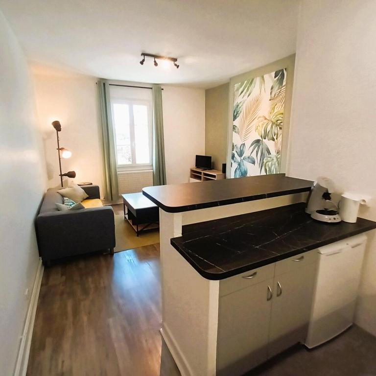 L'Oasis-T2 spacieux-Wifi-TV-Proche Gare - 3