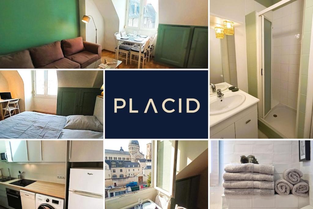 Le Basilic - T2 - Centre-ville - Cosy - Wifi - Tv - 2