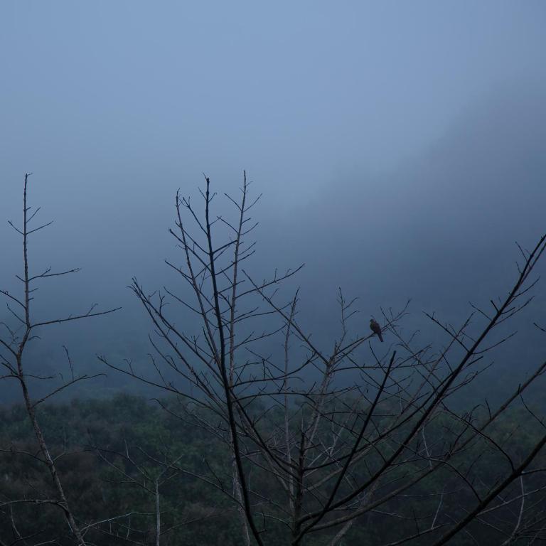 Surrounding environment