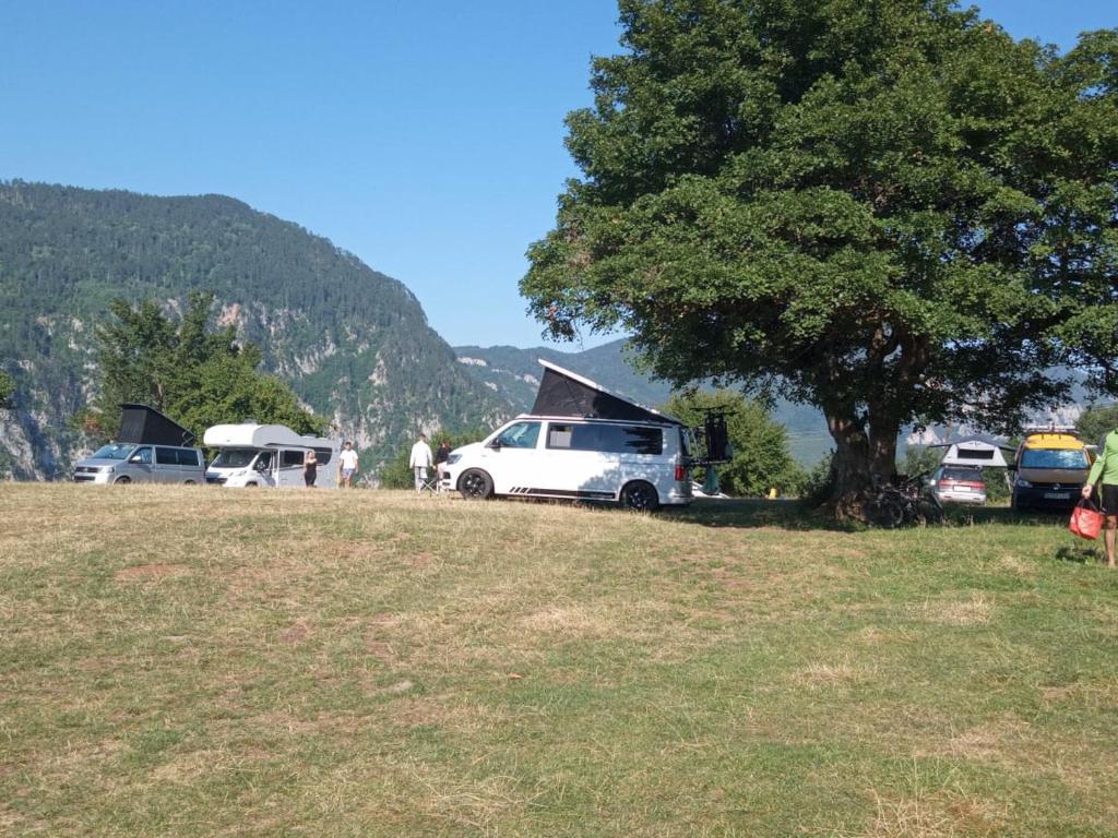 Rafting Camp Apartments Tara - 3