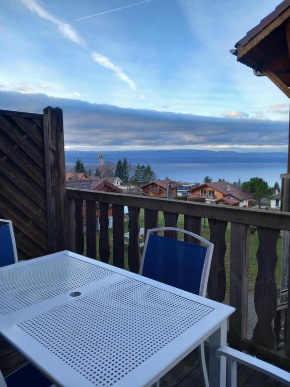 Les chalets d Evian - 1