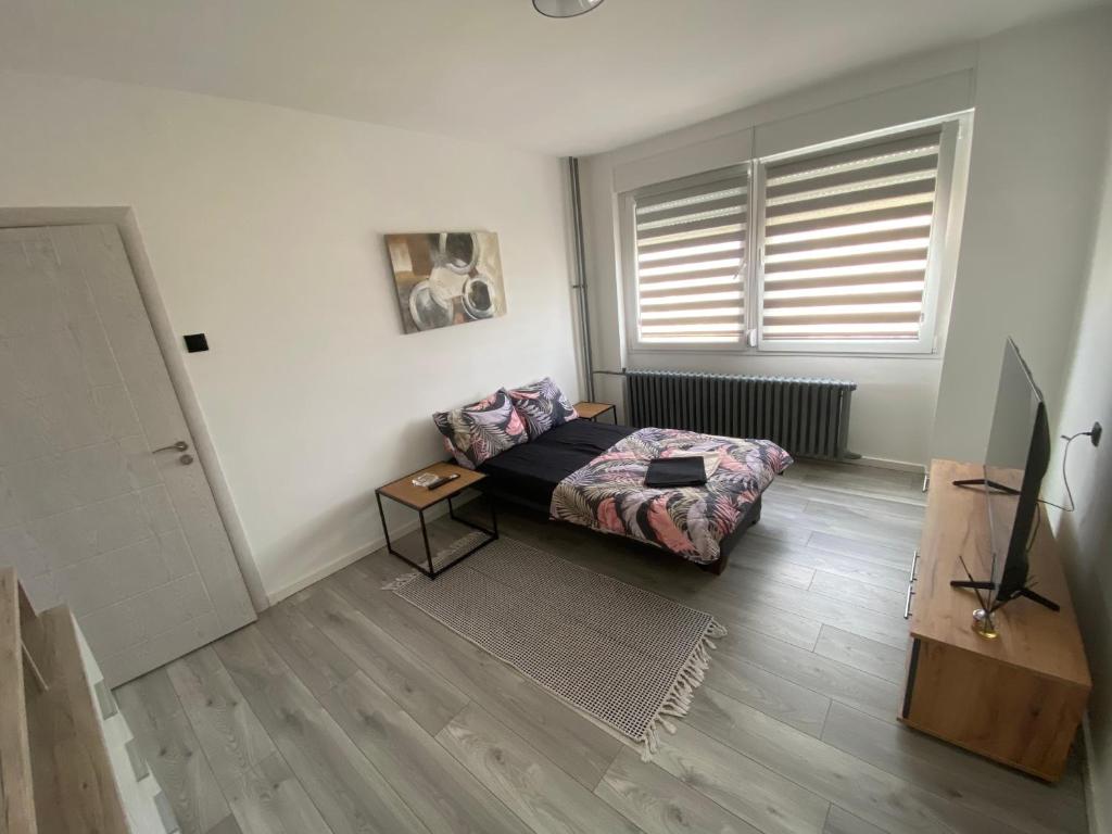 Apartament in Novi Sad - 5