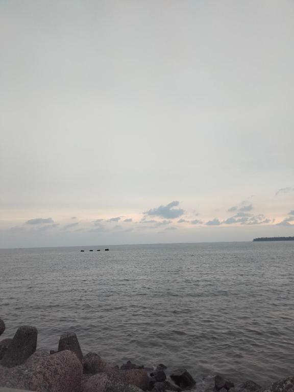 Ảnh 2