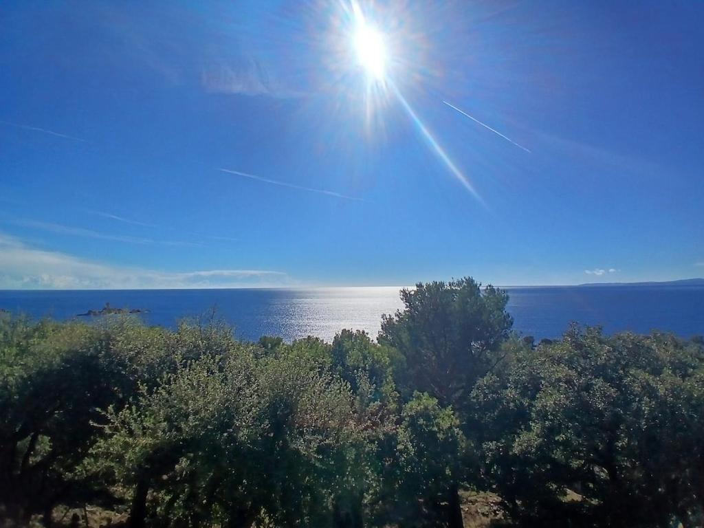 Vacation with exceptional sea views in St Raphaël - 2