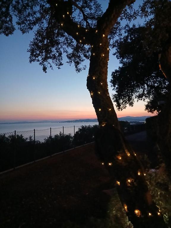 Vacation with exceptional sea views in St Raphaël - 5
