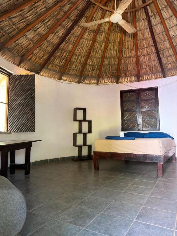 Shalom Backpacker Hostel - 3