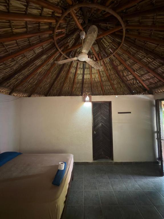 Shalom Backpacker Hostel - 4