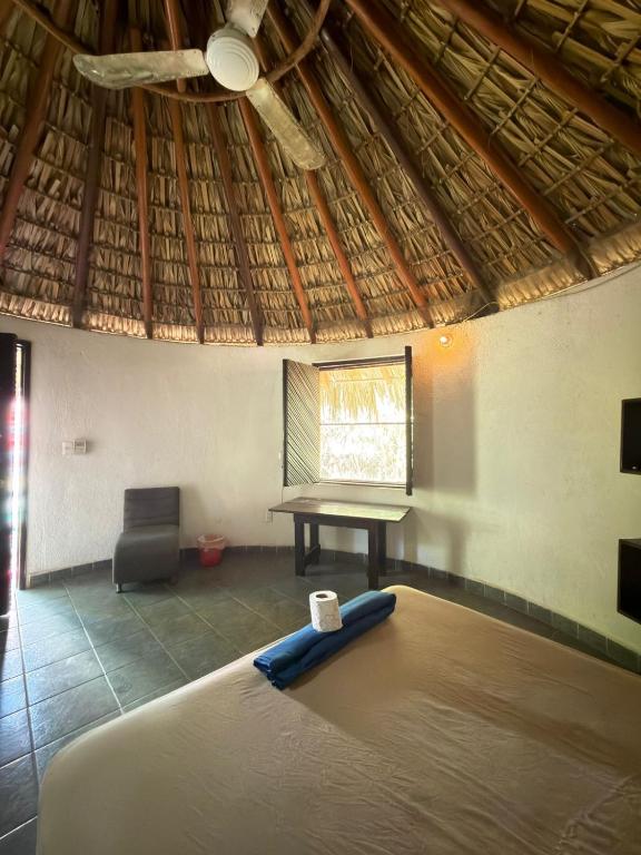 Shalom Backpacker Hostel - 5