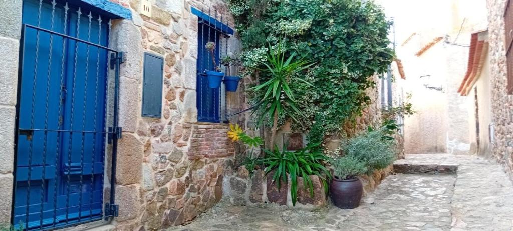 Casita de Mar - 5