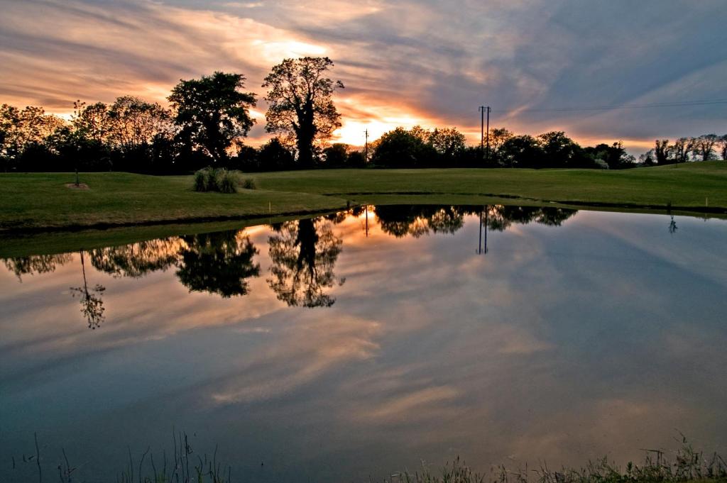 Roganstown Hotel & Country Club photo