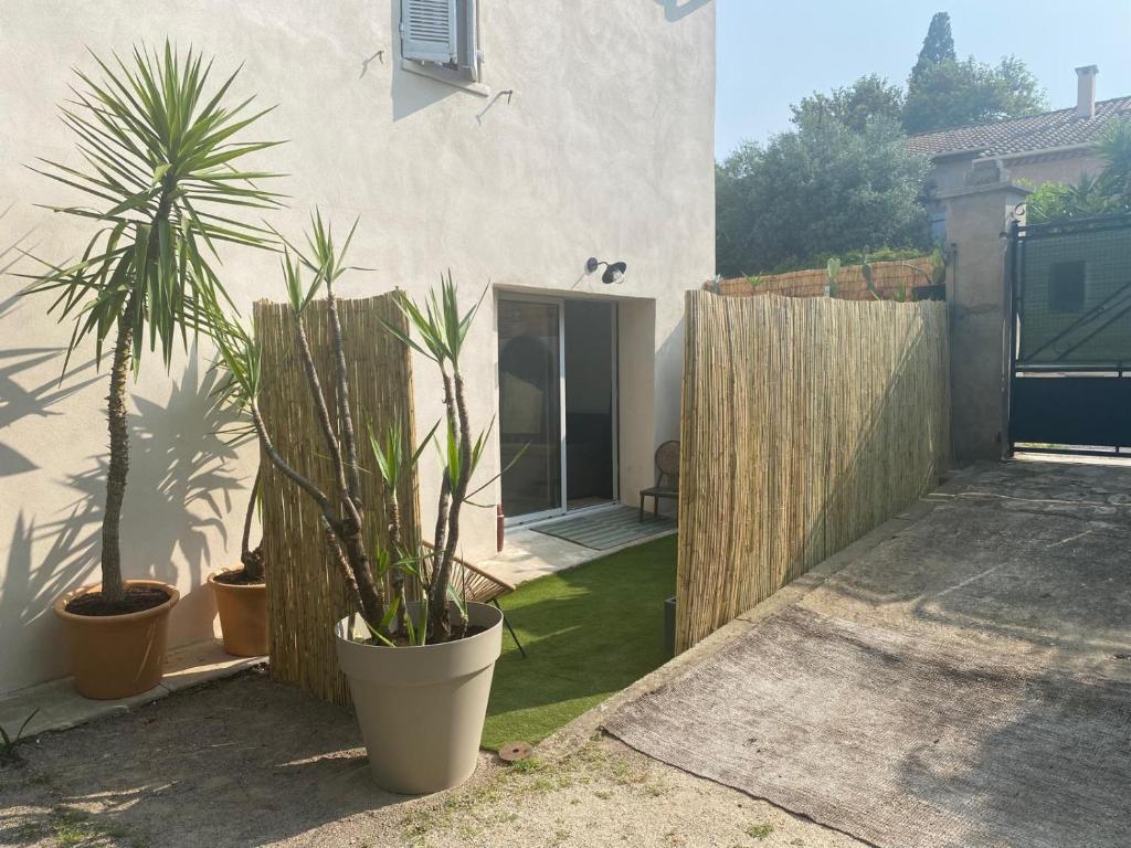 Casa Bohème - 3
