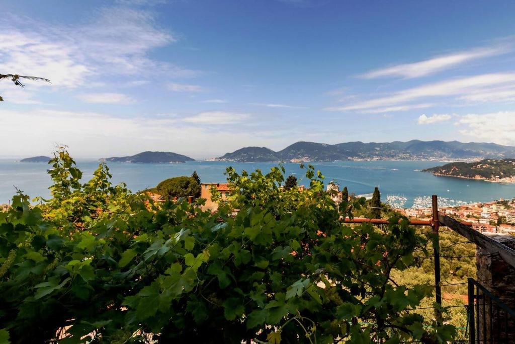 Lerici, La Serra - Il terrazzino di Luca - 1