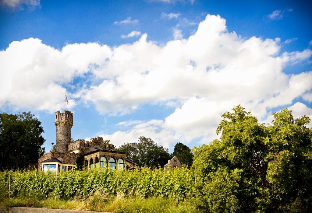Burg &amp; Gastehaus by Schwarzenstein — Hotel in Geisenheim