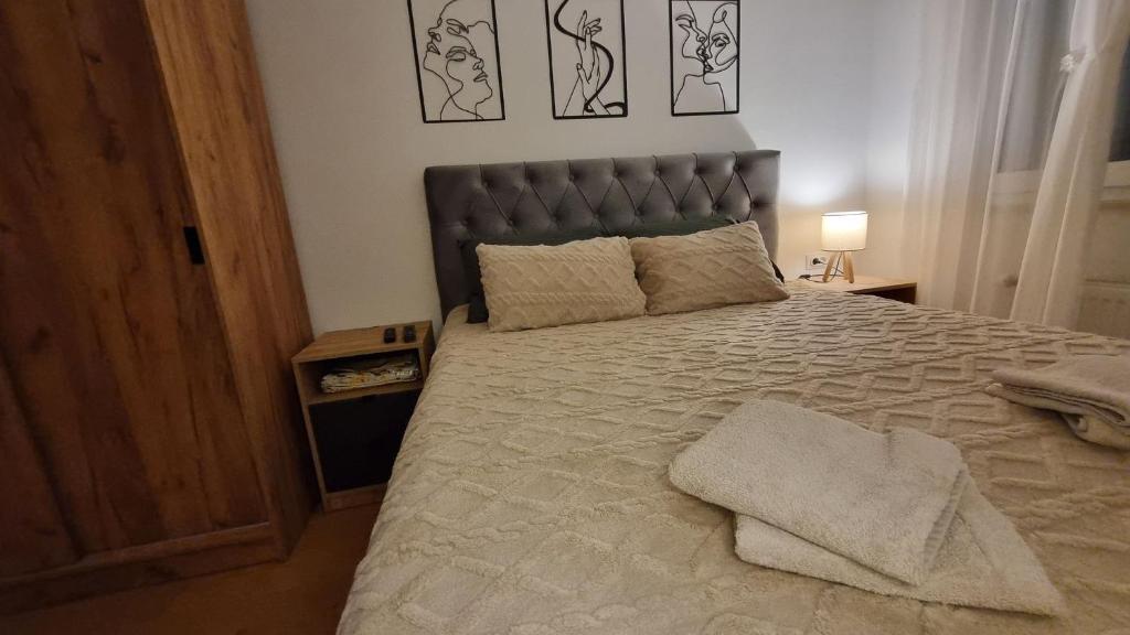 Apartman Dea Lux Novi Sad - Garage Parking -WiFi - 2