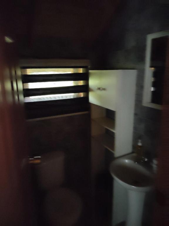 Cabañas mountain Native forest - 4