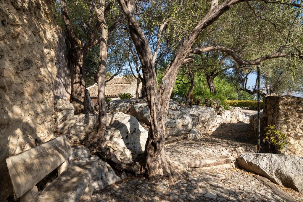 Villa Roba degli Ulivi - 3
