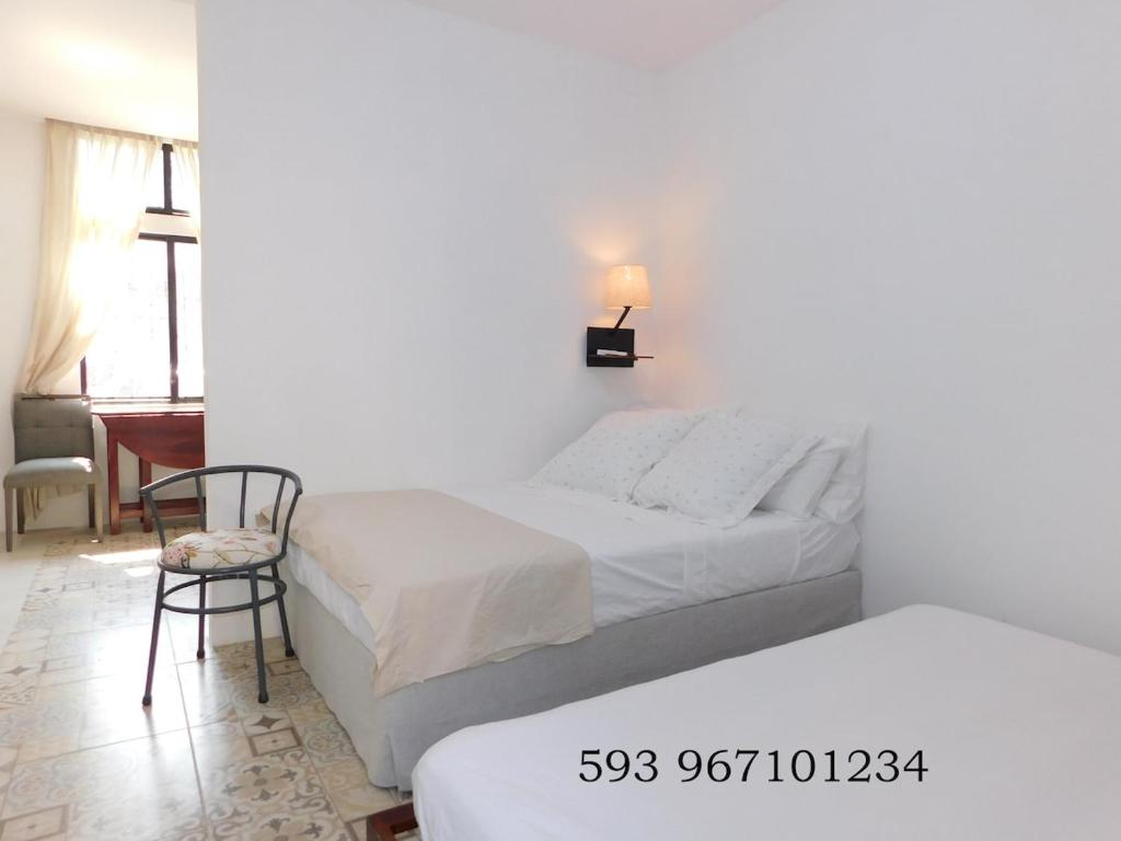 New suite -ground floor - central area- Low cost - 3