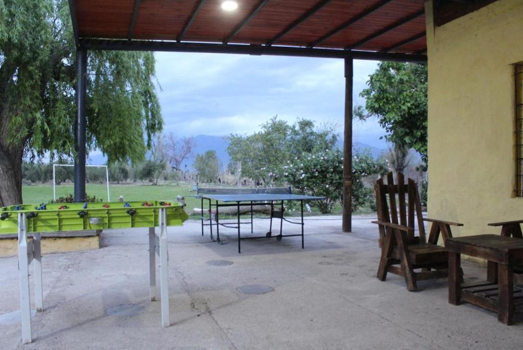 Alalá Campo - 4