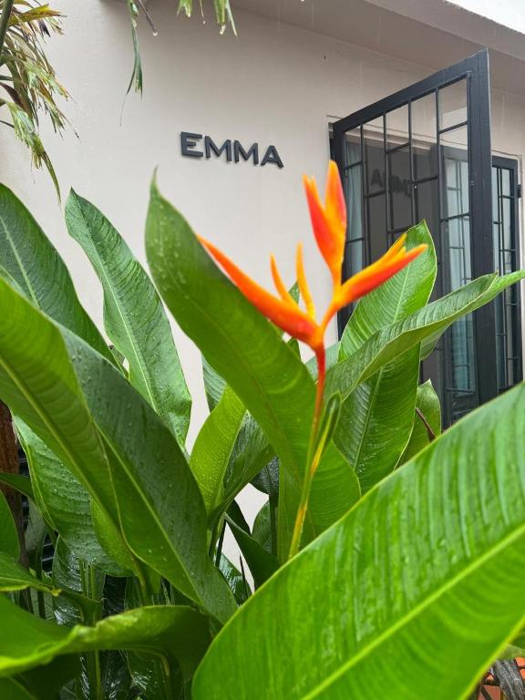 Casa EMMA Girardot - 2
