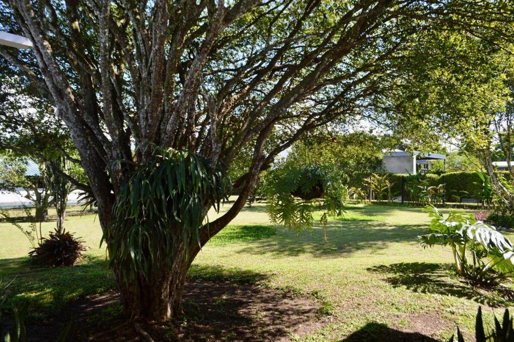 Finca Los Guaduales Exclusive Private Pool - 2