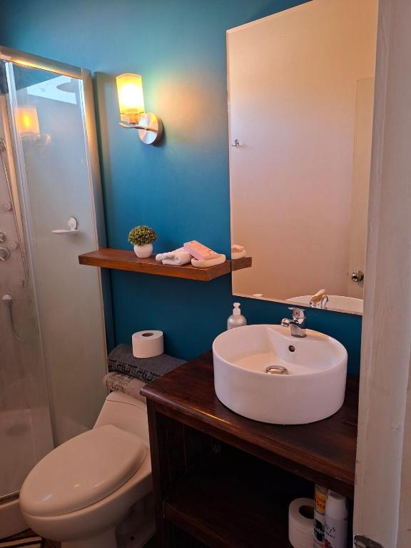 Hermosa cabaña en curacavi - 2