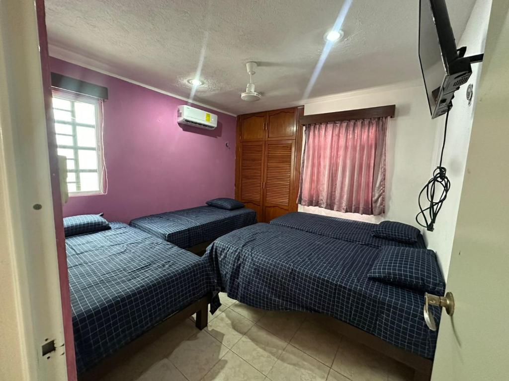 Casa caucel adri - 4